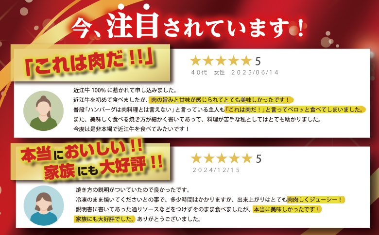 近江牛１００％　プレミアム生ハンバーグ　720g（約120g×6個）【FO18W】