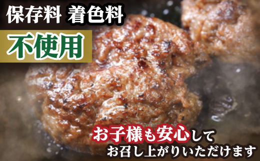 近江牛１００％　プレミアム生ハンバーグ　720g（約120g×6個）【FO18W】