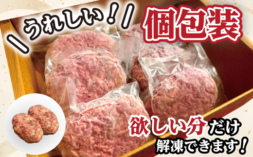 近江牛１００％　プレミアム生ハンバーグ　720g（約120g×6個）【FO18W】