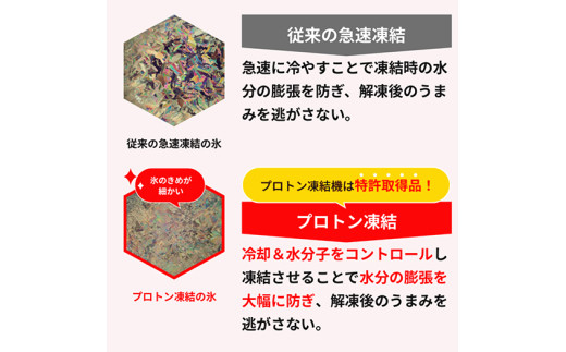 近江牛１００％　プレミアム生ハンバーグ1.2kg（約120g×10個）【FO19W】