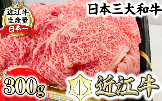yꌧߍ]szyXzIߍ]u؂肨Ƃ300gyⓀzyL013Wz