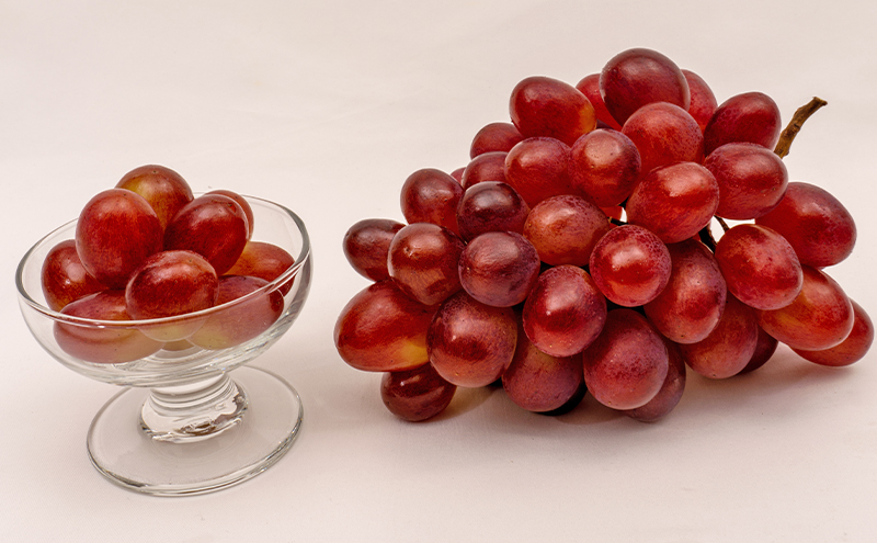 フルーツ 2026年 先行予約 晴れの国 岡山 の フルーツ 定期便 6回コース 桃 ぶどう 梨 岡山県産 国産 フルーツ 果物 ギフト マスカット 