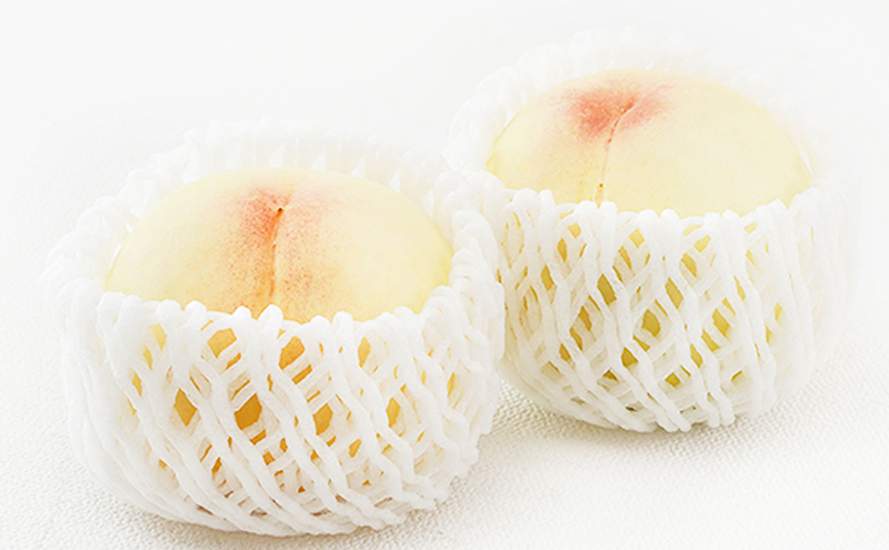 桃 ぶどう 2026年 先行予約 果物詰合せ 白桃 2玉（1玉200g以上） ニュー ピオーネ 2房（合計約940g）化粧箱入り 岡山県産 国産 フルーツ ギフト  もも セット 