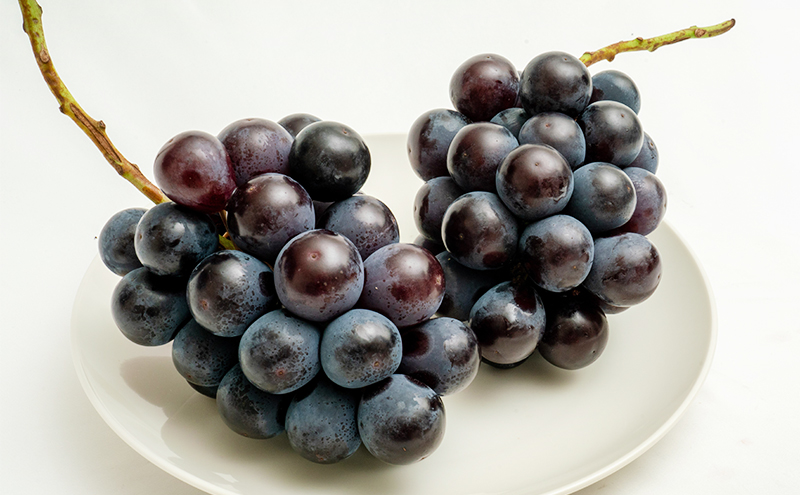 桃 ぶどう 2026年 先行予約 果物詰合せ 白桃 2玉（1玉200g以上） ニュー ピオーネ 2房（合計約940g）化粧箱入り 岡山県産 国産 フルーツ ギフト  もも セット 