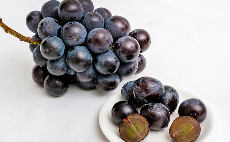 桃 ぶどう 2026年 先行予約 果物詰合せ 白桃 2玉（1玉200g以上） ニュー ピオーネ 2房（合計約940g）化粧箱入り 岡山県産 国産 フルーツ ギフト  もも セット 