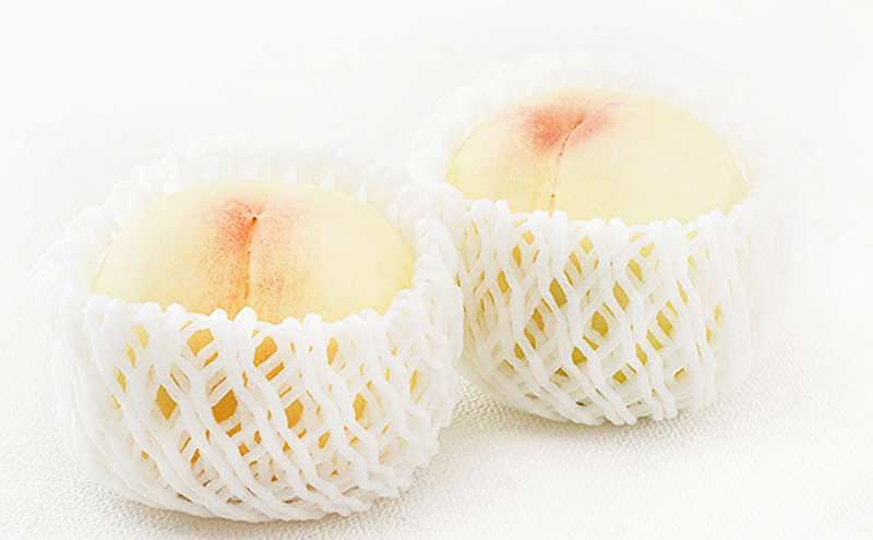 桃 ぶどう 2026年 先行予約 果物詰合せ 白桃 2玉（1玉200g以上） シャイン マスカット 晴王 2房（合計約940g）化粧箱入り 岡山県産 国産 フルーツ ギフト 果物類 セット 