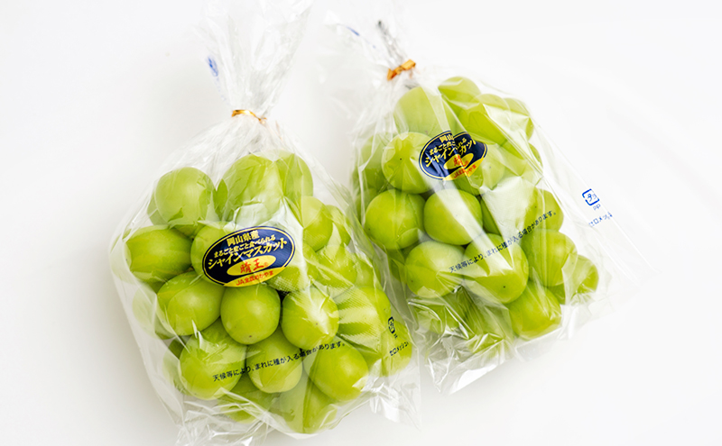 桃 ぶどう 2026年 先行予約 果物詰合せ 白桃 2玉（1玉200g以上） シャイン マスカット 晴王 2房（合計約940g）化粧箱入り 岡山県産 国産 フルーツ ギフト もも 果物類 