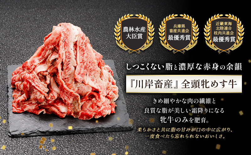 神戸ビーフ 神戸牛 牝 6か月連続 1kg 1000g 計6kg お届け 定期便 切り落とし 白小間 牛小間 大容量 小分け 冷凍 肉 牛肉 すぐ届く お肉 和牛 食材 グルメ ブランド牛 日本産 国産 夕飯 晩御飯 夜ごはん 