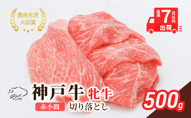 【兵庫県加西市】【最短7日以内発送】 神戸ビーフ 神戸牛 牝 切り落とし 赤小間 500g 川岸畜産 すき焼き 牛丼  冷凍 肉 牛肉 すぐ届く お肉 和牛 食材 グルメ ブランド牛 日本産 国産 夕飯 晩御飯 夜ごはん