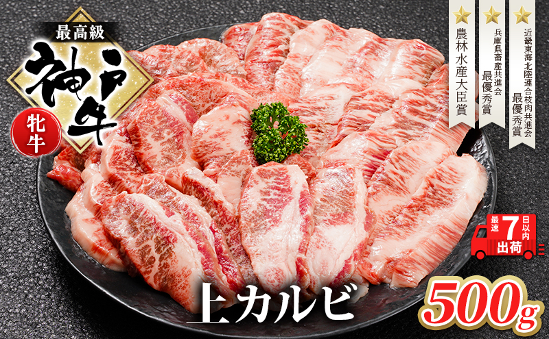 【兵庫県加西市】【最短7日以内発送】 神戸ビーフ 神戸牛 牝 上カルビ 焼肉 500g 川岸畜産 冷凍 肉 牛肉 すぐ届く お肉 和牛 食材 グルメ ブランド牛 日本産 国産 夕飯 晩御飯 夜ごはん