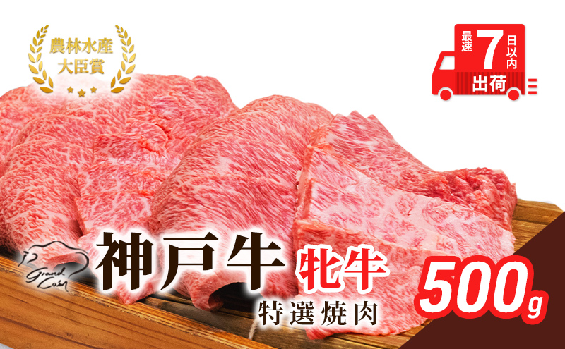 【兵庫県加西市】【最短7日以内発送】 神戸ビーフ 神戸牛 牝 特選焼肉 500g 川岸畜産 冷凍 肉 牛肉 すぐ届く お肉 和牛 食材 グルメ ブランド牛 日本産 国産 夕飯 晩御飯 夜ごはん