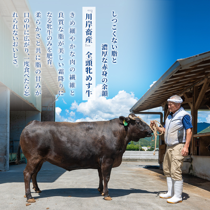 【最短7日以内発送】 神戸ビーフ 神戸牛 牝 モモ 1000g 1kg 川岸畜産 すき焼き しゃぶしゃぶ 焼肉 冷凍 肉 牛肉 すぐ届く お肉 和牛 食材 グルメ ブランド牛 日本産 国産 夕飯 晩御飯 夜ごはん 
