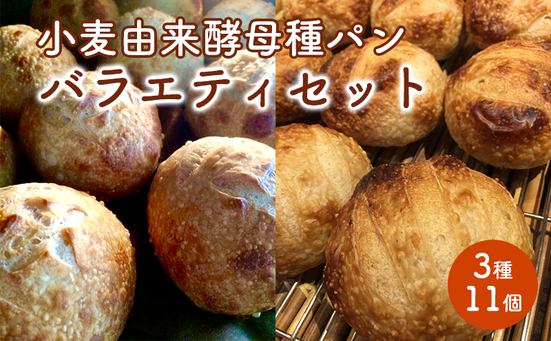 【愛知県日進市】小麦由来酵母種パンバラエティセット 3種11個