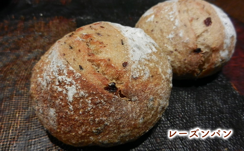 小麦由来酵母種パンバラエティセット 3種11個 