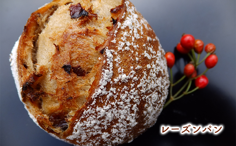 小麦由来酵母種パンバラエティセット 3種11個 