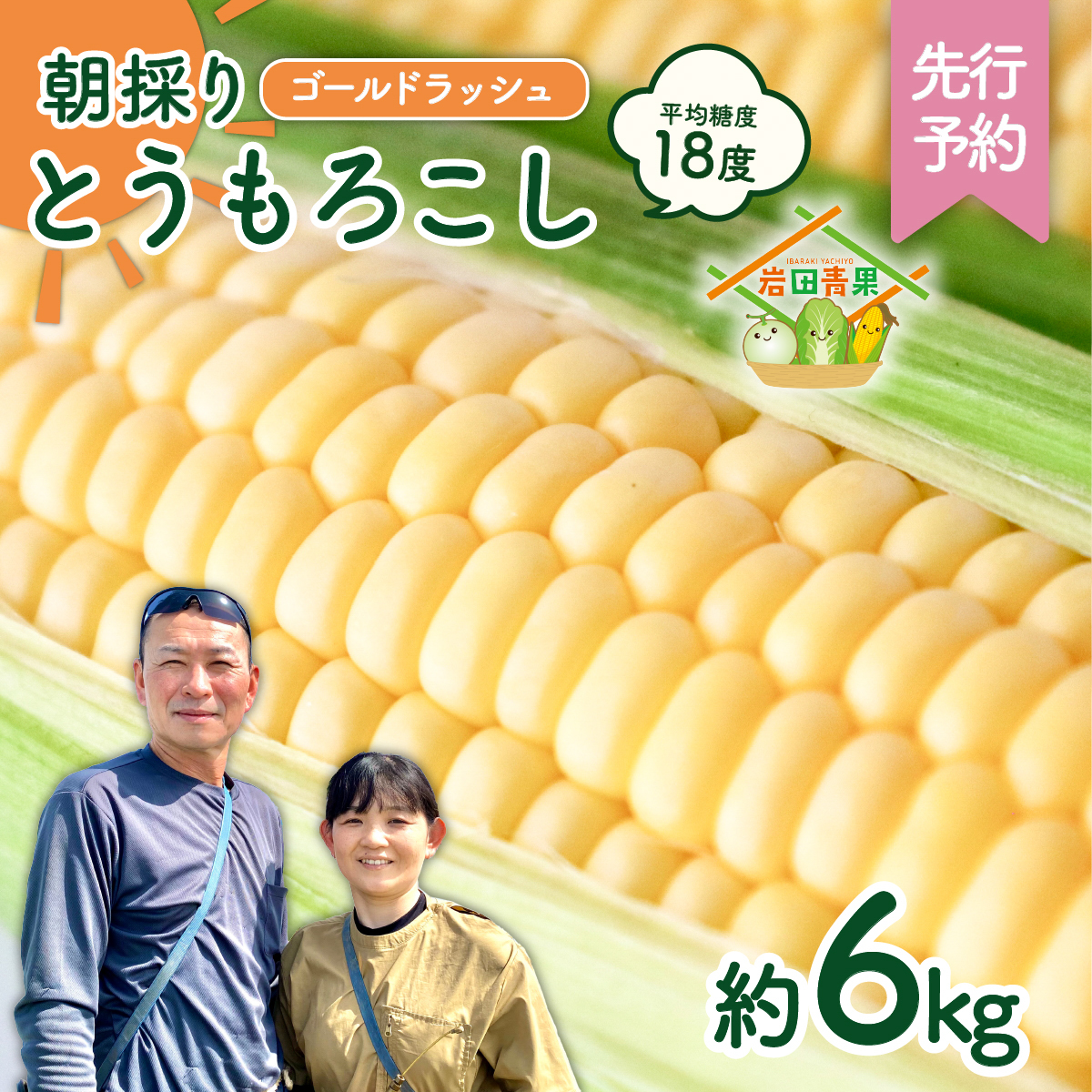 【先行予約 2026年6月中旬以降発送 】