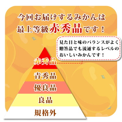 G6029_【2026年先行予約】紀州和歌山 ハウスみかん 2.5kg 赤秀品
