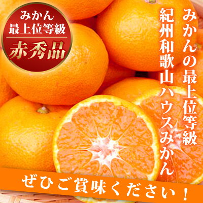 G6029_【2026年先行予約】紀州和歌山 ハウスみかん 2.5kg 赤秀品