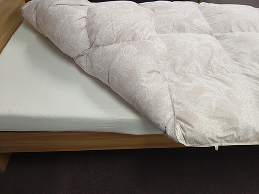 ワタセの羽毛ふとん　シングル　赤【CW15W】