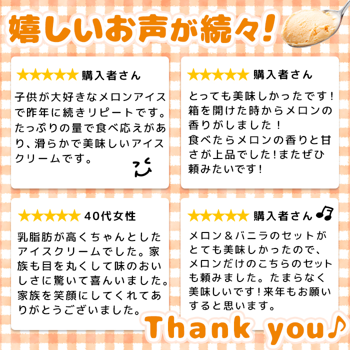 北海道羽幌町のふるさと納税 【Secoma】北海道アイスクリーム（メロン12個セット）【01102】