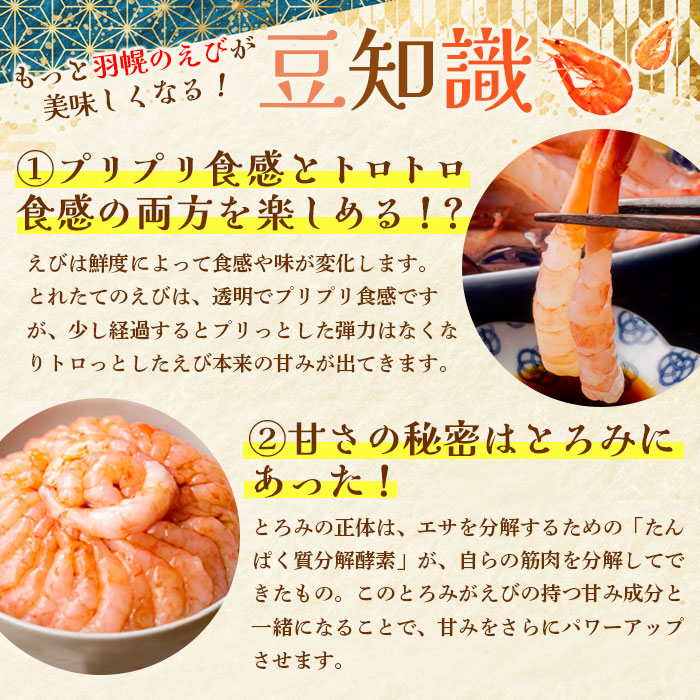 北海道羽幌町のふるさと納税 【おまとめ配送】3D冷凍で新鮮さそのまま 北海道羽幌産刺身用プリプリ甘えび500g×4パック【0511901】