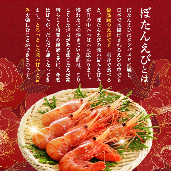 北海道羽幌町のふるさと納税 《12月22日までのご入金で年内発送！》【訳あり】 ぼたんえび 1kg （小サイズ）【0512402】