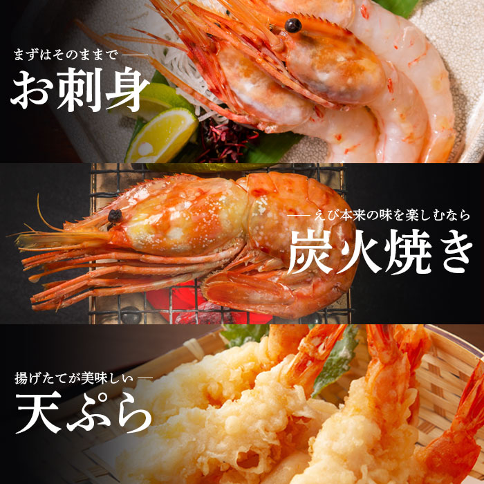 北海道羽幌町のふるさと納税 訳あり ぼたんえび 1kg 小サイズ 75尾前後【0512401】