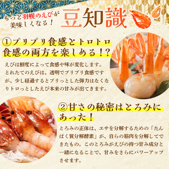 北海道羽幌町のふるさと納税 訳あり ぼたんえび 1kg 小サイズ 75尾前後【0512401】