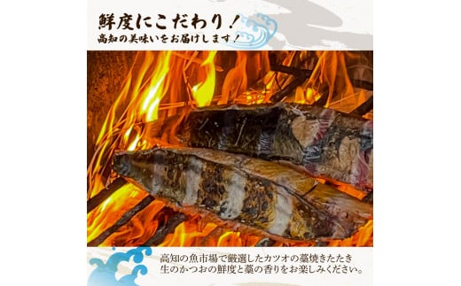 ＜定期便＞初鰹・戻り鰹！！ 高知のお魚定期便！！生鰹藁焼きタタキ（3月・9月）年2回お届け 1～3節 3～5人前