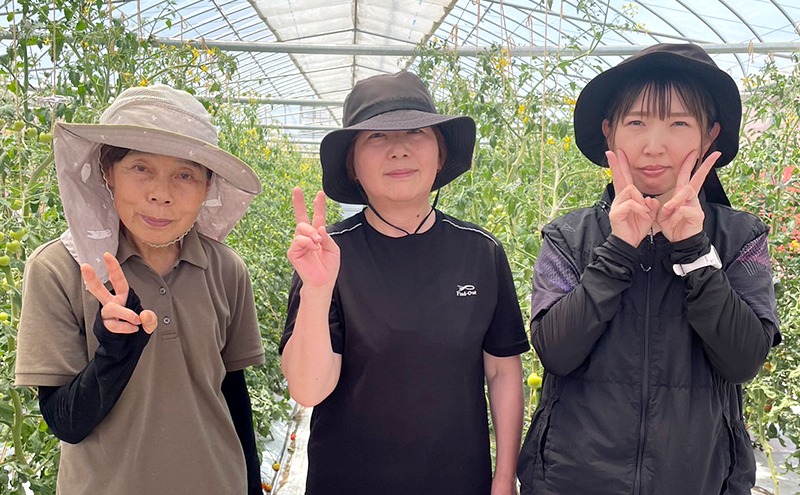 完熟ミニトマトジュース 1,000ml×2本 果汁飲料 野菜飲料 ジュース 美味しい 苦手 子供 飲める 癖 すっきり 栄養 健康 セット 