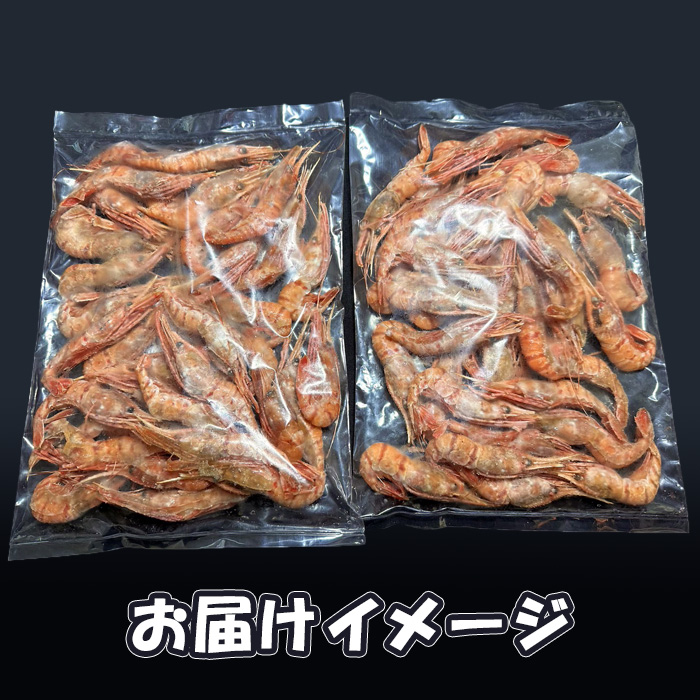北海道羽幌町のふるさと納税 訳あり ぼたんえび 1kg 小サイズ 75尾前後【0512401】