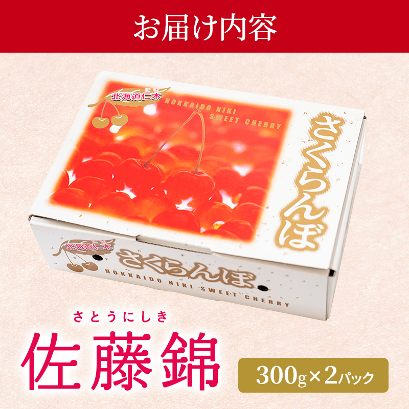 北海道仁木町のふるさと納税 先行受付 さくらんぼ 佐藤錦 300g×2P 計600g Lサイズ 北海道 仁木町　国産 旬のフルーツ 旬の果物 デザートサクランボ チェリー フルーツ 果物 果物類 仁木 [カムナビファーム]