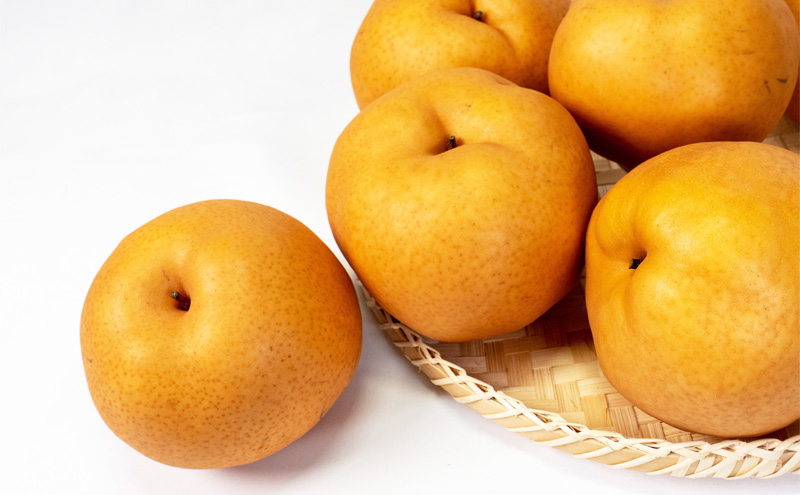 フルーツ 定期便 2026年 先行予約 フルーツ王国 岡山 ベストセレクト 3回コース 桃 もも 葡萄 ぶどう 梨 なし 岡山県産 国産 果物 セット ギフト 柔らかい マスカット 甘い 酸味 高級 香り 風味 