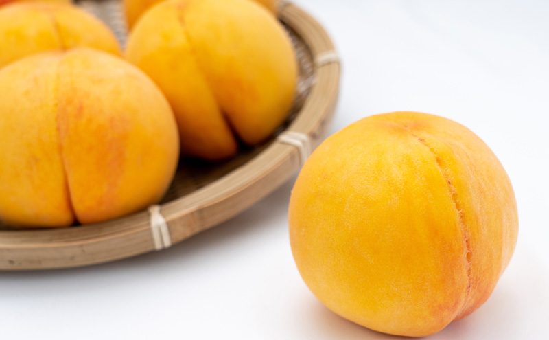 桃 定期便 2026年 先行予約 岡山 の 桃 食べ比べ 3回コース もも モモ 岡山県産 国産 フルーツ 果物 ギフト 