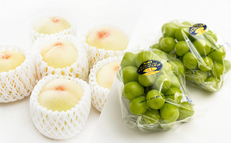 フルーツ 定期便 2026年 先行予約 フルーツ王国 岡山 ベストセレクト 2回コース 桃 もも 葡萄 ぶどう マスカット 岡山県産 国産 果物 セット ギフト 柔らかい 甘い 酸味 高級 香り 風味 