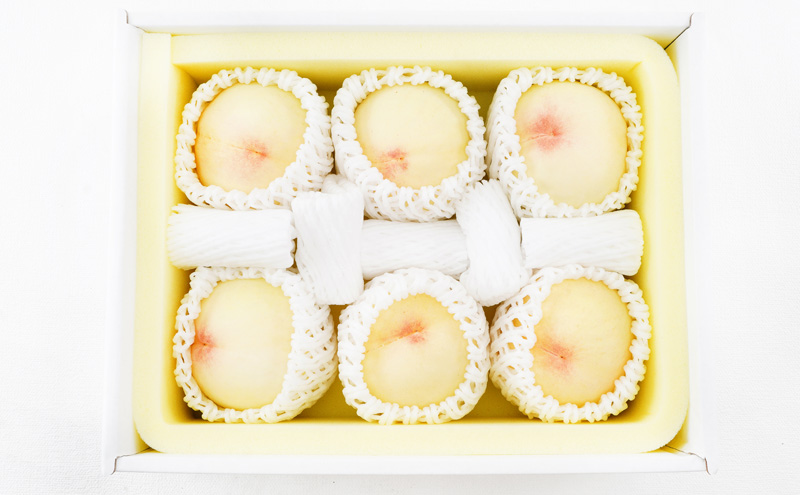 フルーツ 定期便 2026年 先行予約 フルーツ王国 岡山 ベストセレクト 2回コース 桃 もも 葡萄 ぶどう マスカット 岡山県産 国産 果物 セット ギフト 柔らかい 甘い 酸味 高級 香り 風味 