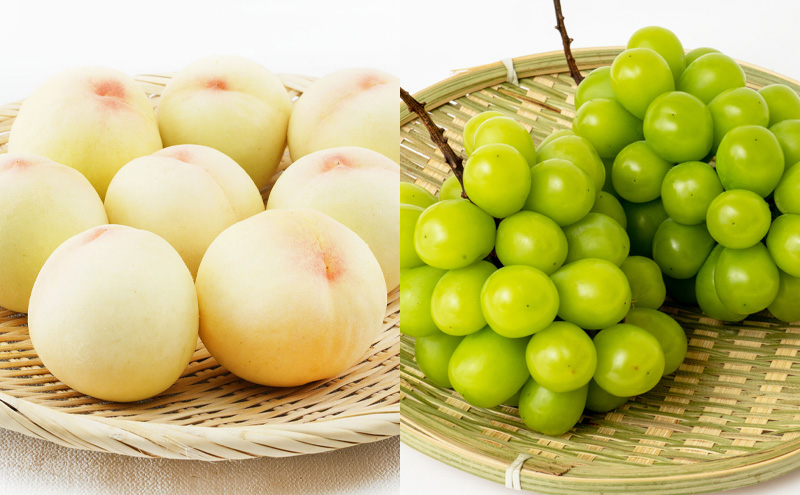 フルーツ 定期便 2026年 先行予約 フルーツ王国 岡山 ベストセレクト 3回コース 桃 もも 葡萄 ぶどう 梨 なし 岡山県産 国産 果物 セット ギフト 柔らかい マスカット 甘い 酸味 高級 香り 風味 