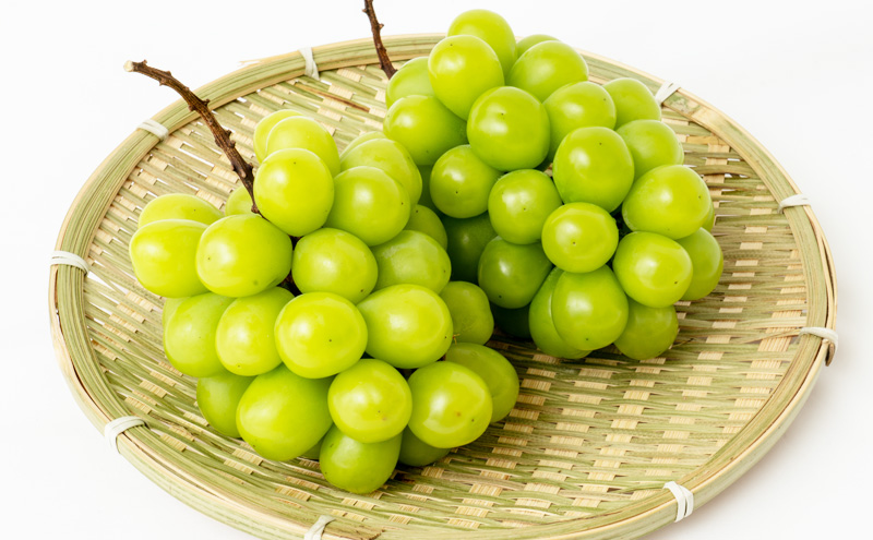 フルーツ 定期便 2026年 先行予約 フルーツ王国 岡山 ベストセレクト 2回コース 桃 もも 葡萄 ぶどう マスカット 岡山県産 国産 果物 セット ギフト 旬のフルーツ 果汁きめ細やか 岡山の白桃 晴王 