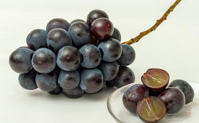 フルーツ 定期便 2026年 先行予約 フルーツ王国 岡山を堪能 5回コース 桃 もも 葡萄 ぶどう 梨 なし岡山県産 国産 果物 セット ギフト 