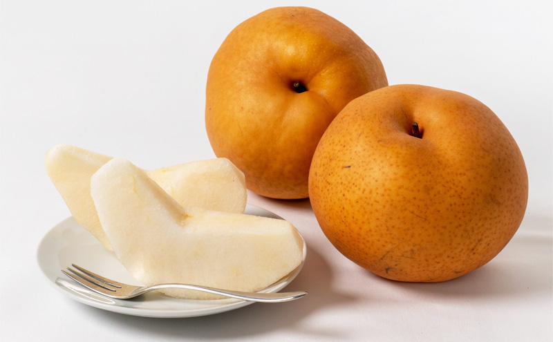 フルーツ 定期便 2026年 先行予約 フルーツ王国 岡山を堪能 5回コース 桃 もも 葡萄 ぶどう 梨 なし岡山県産 国産 果物 セット ギフト 