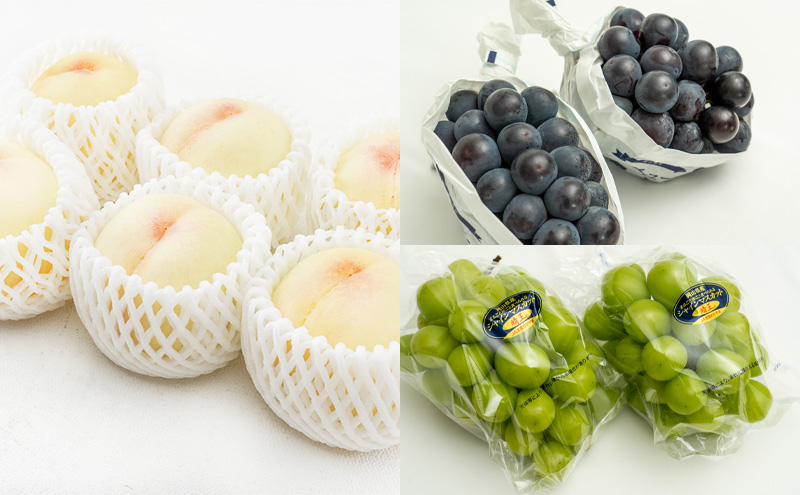 フルーツ 定期便 2026年 先行予約 フルーツ王国 岡山 厳選 果物 （7月 9月 10月）3回コース 桃 もも 葡萄 ぶどう 岡山県産 国産 セット ギフト 