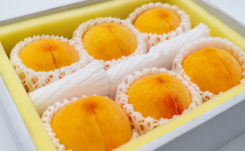フルーツ 定期便 2025年 先行予約 岡山 の 桃 食べ比べ 定期便 3