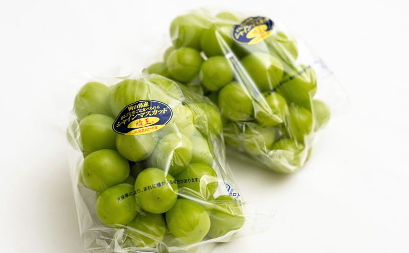 フルーツ 定期便 2026年 先行予約 フルーツ王国 岡山の果物 5回コース 夏～冬物語 桃 もも 葡萄 ぶどう 梨 なし岡山県産 国産 果物 セット ギフト 