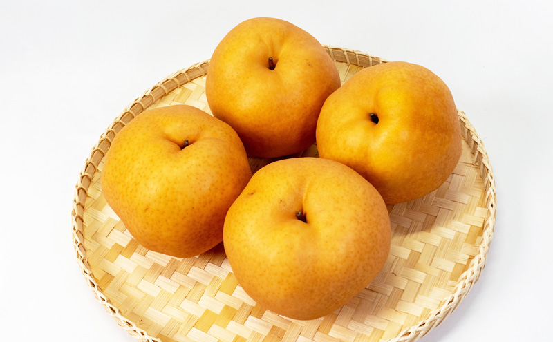 桃 ぶどう 梨 定期便 2026年 先行予約 フルーツ王国 岡山を堪能 6回コース 夏・秋・冬物語 白桃 フルーツ 果物 岡山 