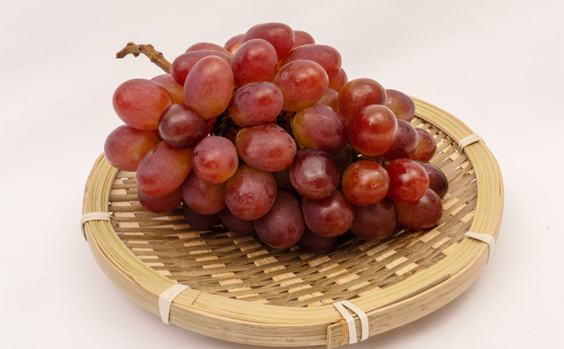 桃 ぶどう 梨 定期便 2026年 先行予約 フルーツ王国 岡山を堪能 6回コース 夏・秋・冬物語 白桃 フルーツ 果物 岡山 