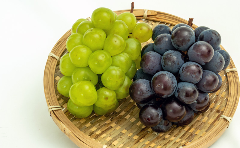 桃 ぶどう 梨 定期便 2026年 先行予約 フルーツ王国 岡山を堪能 6回コース 夏・秋・冬物語 白桃 フルーツ 果物 岡山 