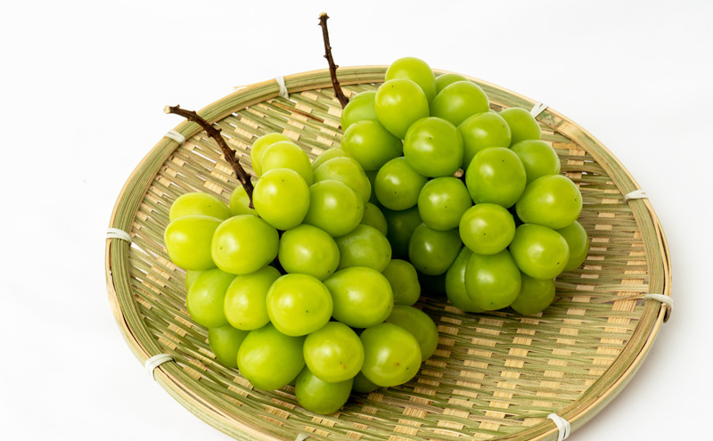 桃 ぶどう 梨 定期便 2026年 先行予約 フルーツ王国 岡山を堪能 6回コース 夏・秋・冬物語 白桃 フルーツ 果物 岡山 