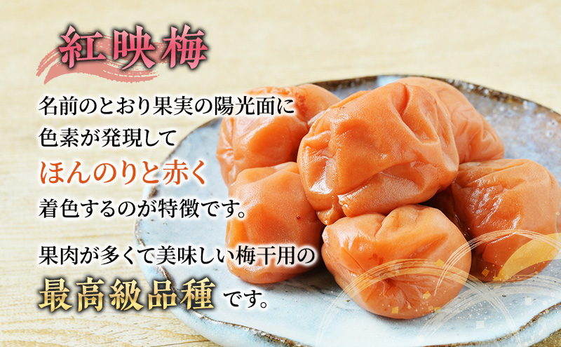 煮梅　1207 ウメケン】梅ぼしさん・しそ梅干し100% 10.8g ｜Biople WEB
