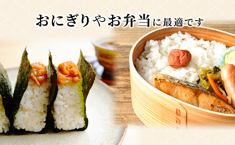 煮梅　1207 祝北陸新幹線延伸】梅干し 650g しそ漬け福梅ぼし うめぼし 梅