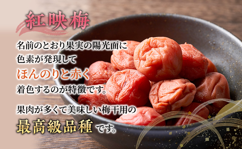 梅干し 合計800g 甘くない梅干し 2つ セット 紅さし梅 紅映梅 梅 うめ ウメ 福井県 福井 